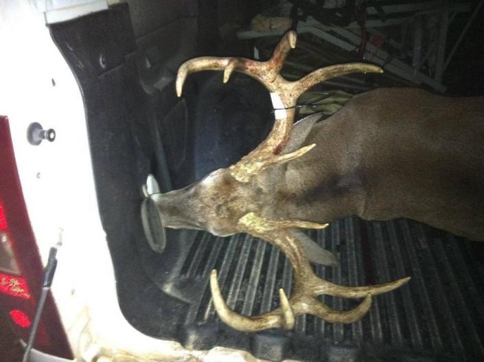 10-Point Buck